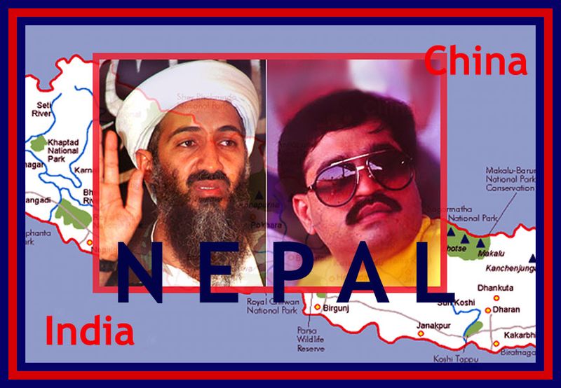 6a00d8341df99053ef012876bb3c84970c-800wi