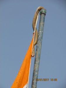 IMG-20170127-WA0001